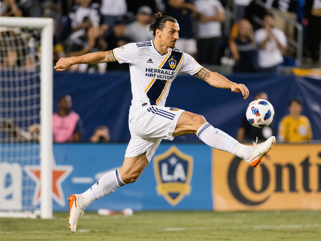 稳定性明显 稳定性明显